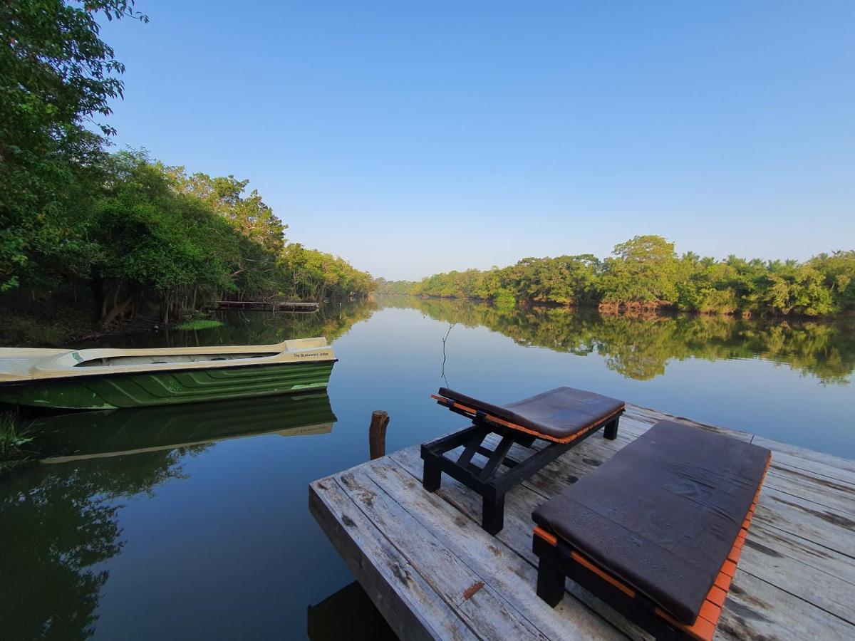 The Backwaters Lodge Wilpattu Εξωτερικό φωτογραφία