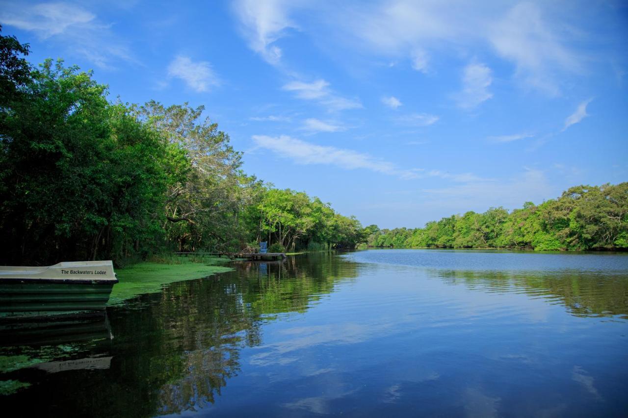 The Backwaters Lodge Wilpattu Εξωτερικό φωτογραφία