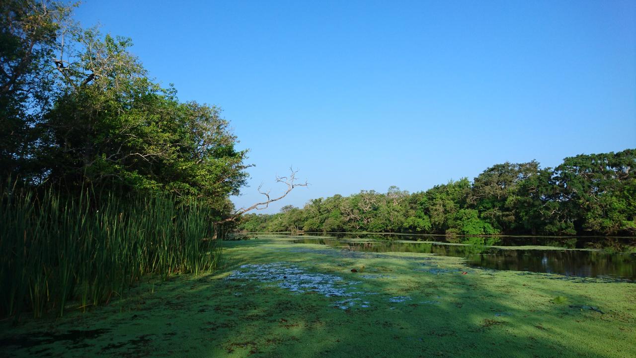 The Backwaters Lodge Wilpattu Εξωτερικό φωτογραφία