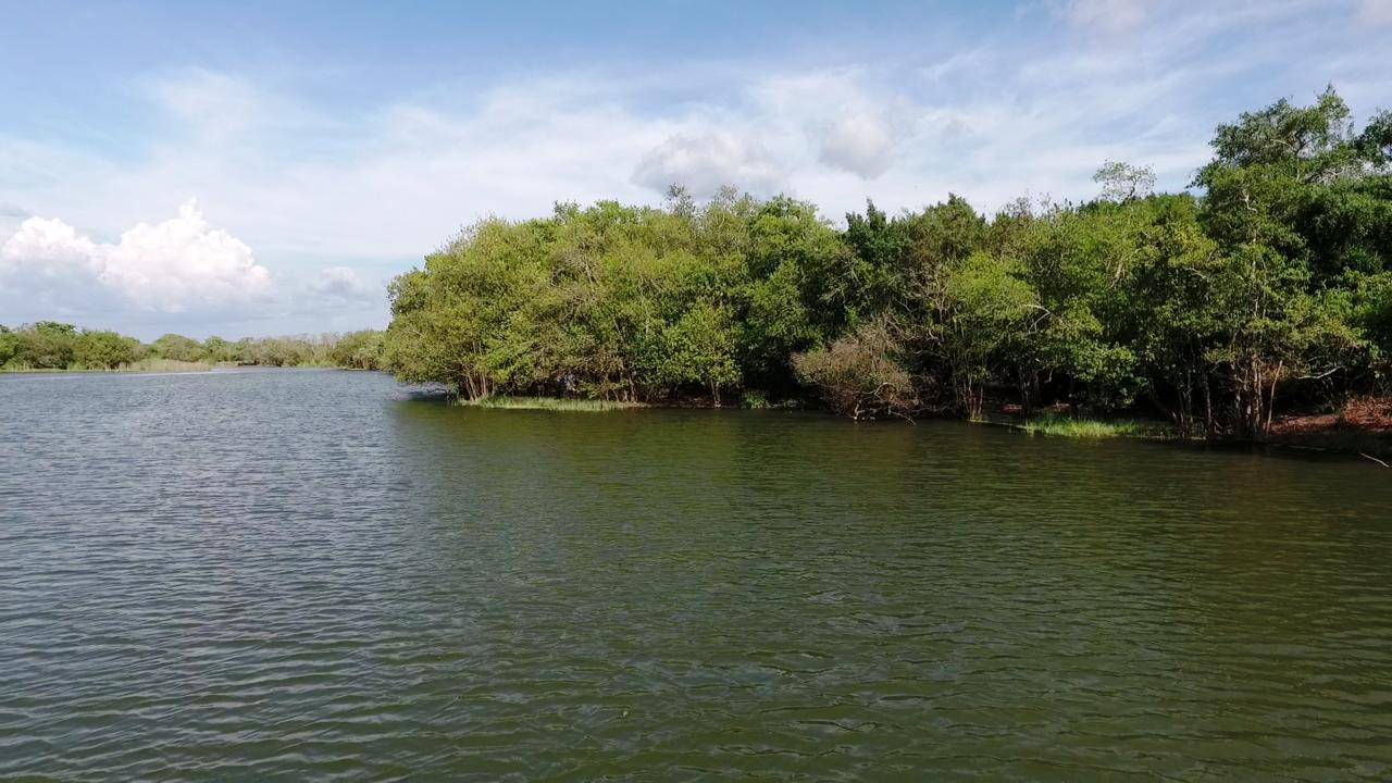 The Backwaters Lodge Wilpattu Εξωτερικό φωτογραφία