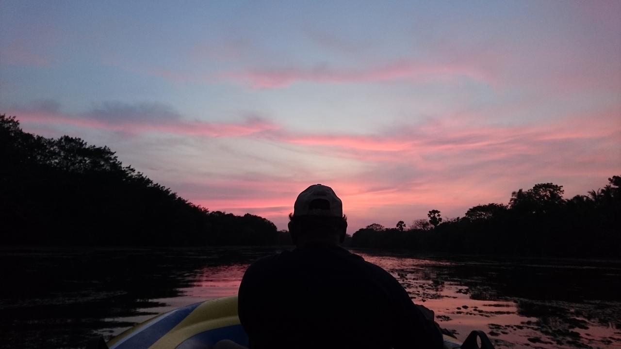 The Backwaters Lodge Wilpattu Εξωτερικό φωτογραφία