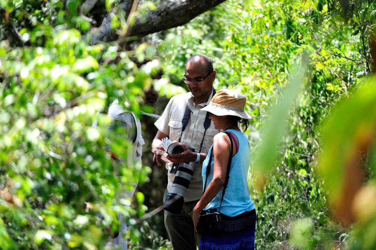 The Backwaters Lodge Wilpattu Εξωτερικό φωτογραφία