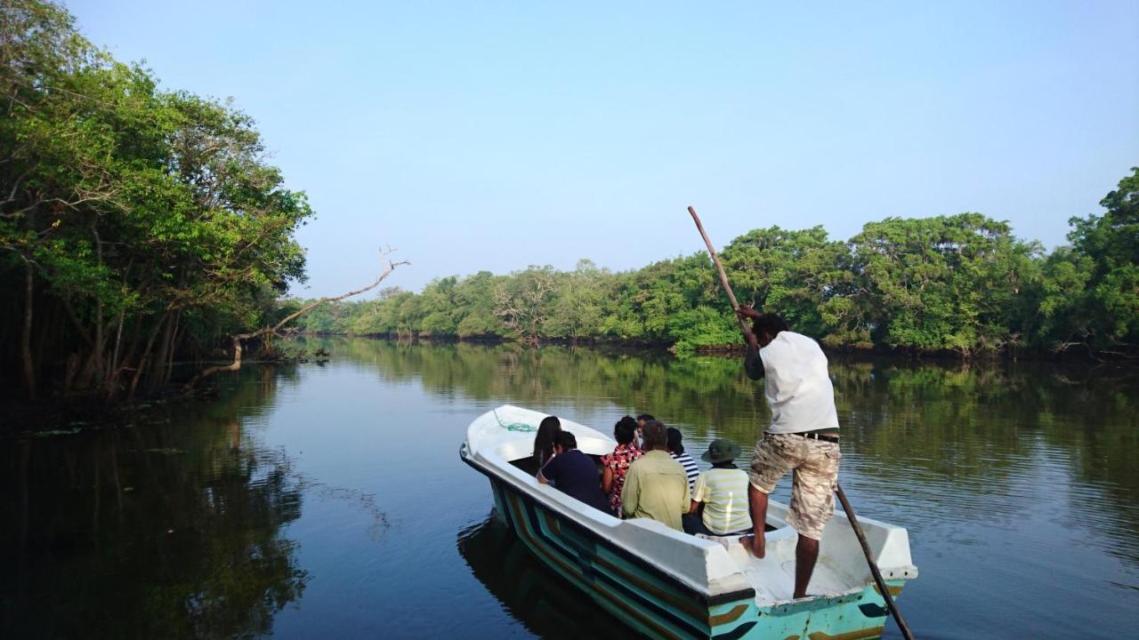 The Backwaters Lodge Wilpattu Εξωτερικό φωτογραφία