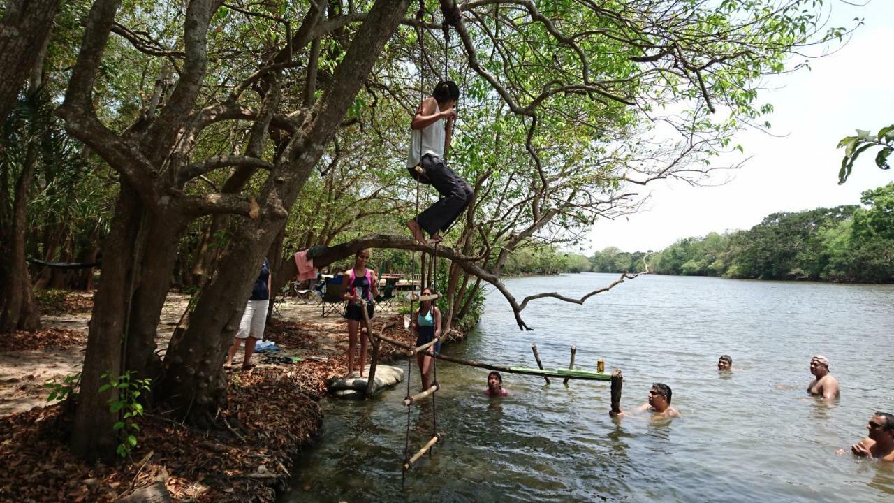 The Backwaters Lodge Wilpattu Εξωτερικό φωτογραφία